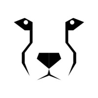 Cheetah Consulting