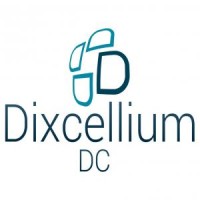 DIXCELLIUM SRL logo - Similar company to Notresyndic.Be Srl