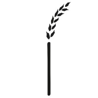 staramaki logo - Similar company to Certus Accounting