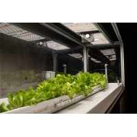 replantin' logo - Similar company to Ecophage