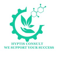 Hyptis Consult logo - Similar company to Moonlight Conseil