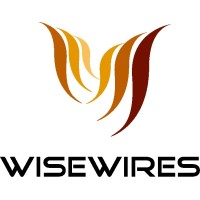 WISEWIRES Co. Ltd logo - Similar company to Finatech Jsc