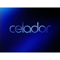Celador Films logo - Similar company to Bluestone Entertainment