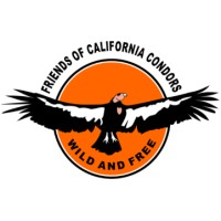 Friends of California Condors Wild and Free logo - Similar company to Nbm India