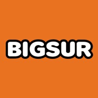 BIGSUR Bolivia logo - Similar company to Jethustle