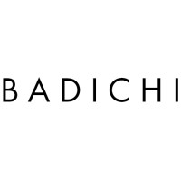 Badichi NYC logo - Similar company to Badichi Group