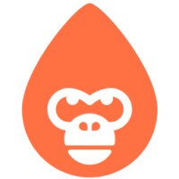 Orange Gorilla Agency