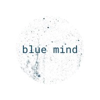 The Blue Mind Approach logo - Similar company to Blue Mind Yachting
