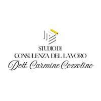 Studio di Consulenza del Lavoro · Dott. Carmine Cozzolino logo - Similar company to Fiberdroid
