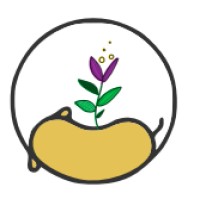 Aura & Luca - Servicios Funerarios para Mascota logo - Similar company to Petsy.Mx