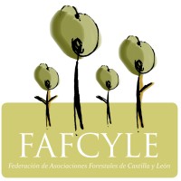 FAFCYLE logo - Similar company to Asemfo