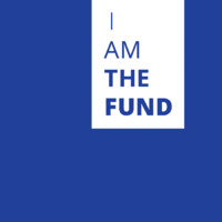 I Am The Fund logo - Similar company to Boastarbrain