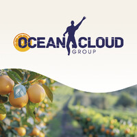 Ocean Cloud Group logo - Similar company to Dilamar
