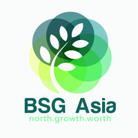 BSG Asia logo - Similar company to Pt Abadi Bersaudara Sentosa