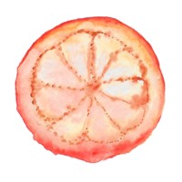 Orange Grove Creative