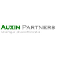 Auxin Partners