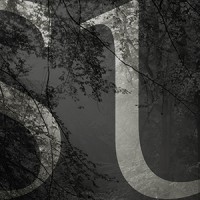 subtilis logo - Similar company to Bymaïa