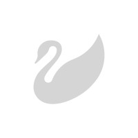 Mozart Pianos logo - Similar company to Gintarini