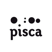 Pisca - Graphic & web design // Disseny gràfic i web logo - Similar company to Itineris Digital