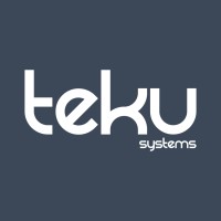 Teku Systems logo - Similar company to Bleecker Technologies