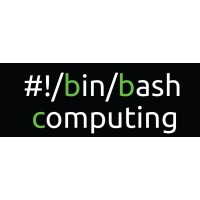 #!/Bin/Bash Computing logo - Similar company to Devnull Agency