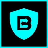 Bizmato Business Solutions logo - Similar company to Maya Koncept