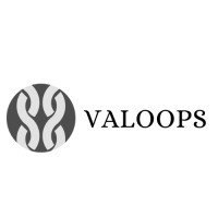 VALOOPS logo - Similar company to Slowmod