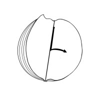 Le Temps d'un roman logo - Similar company to Datagenese
