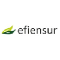 EFIENSUR logo - Similar company to Ayllon Ingeniería Y Control