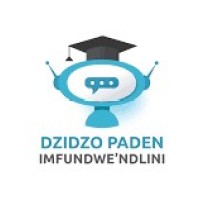 Dzidzo Paden logo - Similar company to Ashesi Engineering