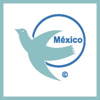 Visiting Angels México logo - Similar company to The Tahu Hikuroa Foundation