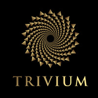 Trivium logo - Similar company to Ikonic