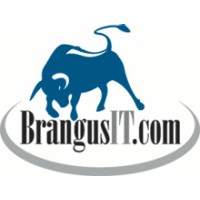 Brangus IT logo - Similar company to Pg Ganadería