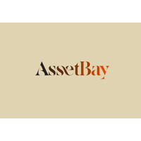 Asset Bay logo - Similar company to Assetbay