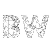 BAM Works logo - Similar company to Dfw Technology