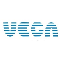 VEGA CORPORATION logo - Similar company to Skygo Game Studio