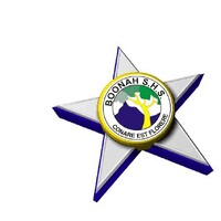 Boonah SHS logo - Similar company to Diversicare