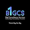 Big1 Consultancy Services logo - Similar company to Beyowe Digital Solutions