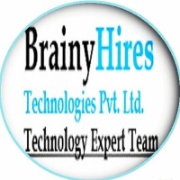 BrainyHires logo - Similar company to Sysnettech Solutions
