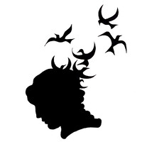 Muchos Pájaros Producciones logo - Similar company to Tem Productions