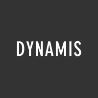 Dynamis Now logo - Similar company to Larvaee Bharat