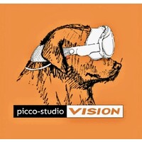 Picco-Vision logo - Similar company to Ecomagin