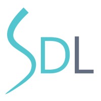 S Dimensions Labs Ltd logo - Similar company to Iccb Fintech Ltd