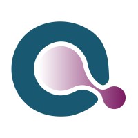 Cloudner logo - Similar company to Up Advanced System
