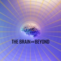 The Brain and Beyond Podcast logo - Similar company to Brain & Beyond
