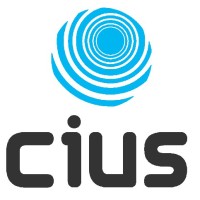 Centre For Innovative Ultrasound Solutions