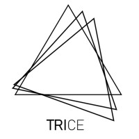 Trice Ltd logo - Similar company to Circle Consultancy