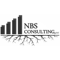 NBS Consulting logo - Similar company to Nsb Consulting