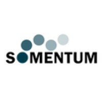SOMENTUM logo - Similar company to Retail Knowledge Denmark