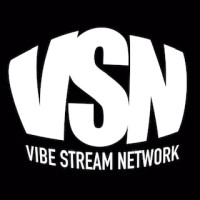 Vibe Stream Network logo - Similar company to Timeless